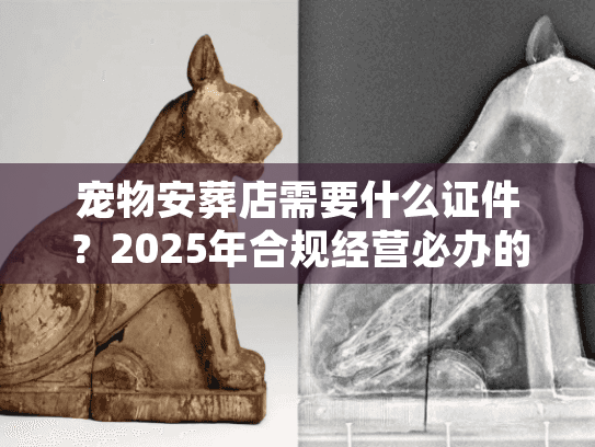 宠物安葬店需要什么证件?2025年合规经营必办的4大核心资质 宠物安葬店需要什么证件?2025年合规经营必办的4大核心资质