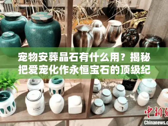 宠物安葬晶石有什么用？揭秘把爱宠化作永恒宝石的顶级纪念方式