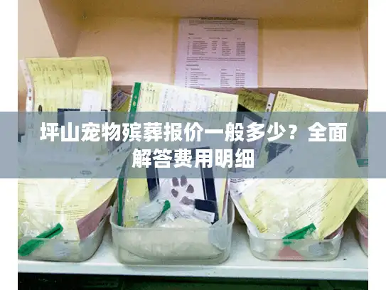 坪山宠物殡葬报价一般多少？全面解答费用明细