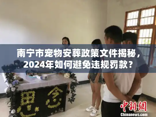 南宁市宠物安葬政策文件揭秘，2024年如何避免违规罚款？