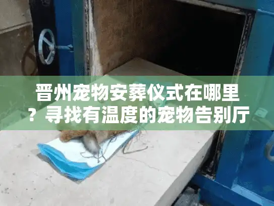 晋州宠物安葬仪式在哪里？寻找有温度的宠物告别厅