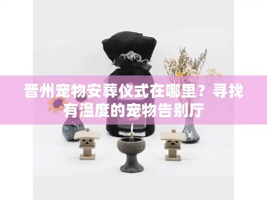 晋州宠物安葬仪式在哪里？寻找有温度的宠物告别厅