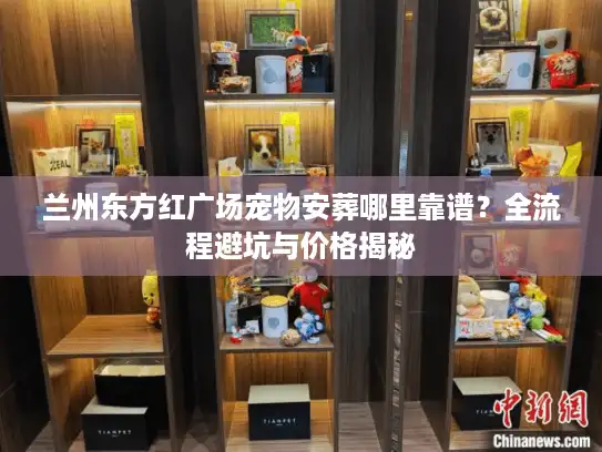 兰州东方红广场宠物安葬哪里靠谱？全流程避坑与价格揭秘