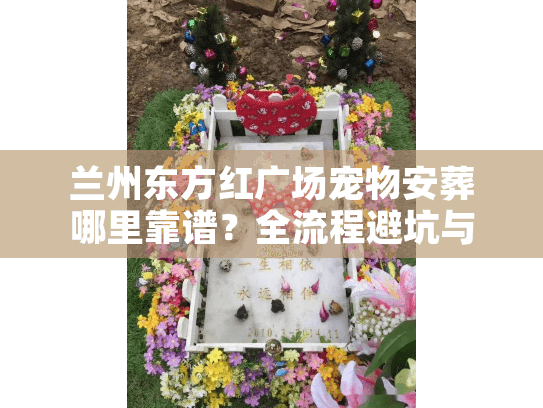 兰州东方红广场宠物安葬哪里靠谱？全流程避坑与价格揭秘