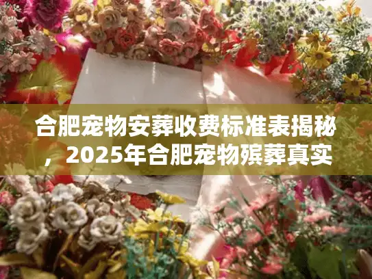合肥宠物安葬收费标准表揭秘，2025年合肥宠物殡葬真实报价与避坑