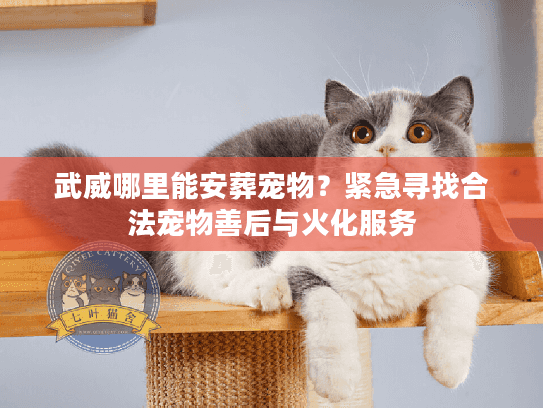 武威哪里能安葬宠物？紧急寻找合法宠物善后与火化服务