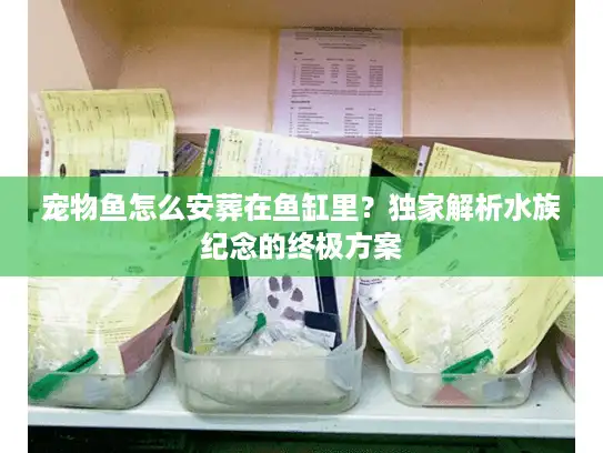 宠物鱼怎么安葬在鱼缸里？独家解析水族纪念的终极方案