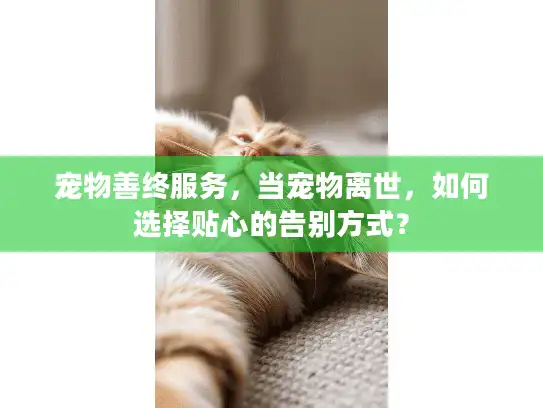 宠物善终服务,当宠物离世,如何选择贴心的告别方式? 宠物善终服务,当宠物离世,如何选择贴心的告别方式?