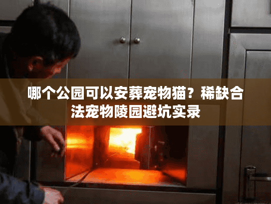 哪个公园可以安葬宠物猫？稀缺合法宠物陵园避坑实录