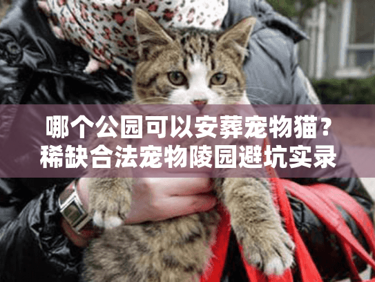 哪个公园可以安葬宠物猫？稀缺合法宠物陵园避坑实录