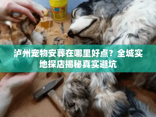 泸州宠物安葬在哪里好点?全城实地探店揭秘真实避坑 泸州宠物安葬在哪里好点?全城实地探店揭秘真实避坑