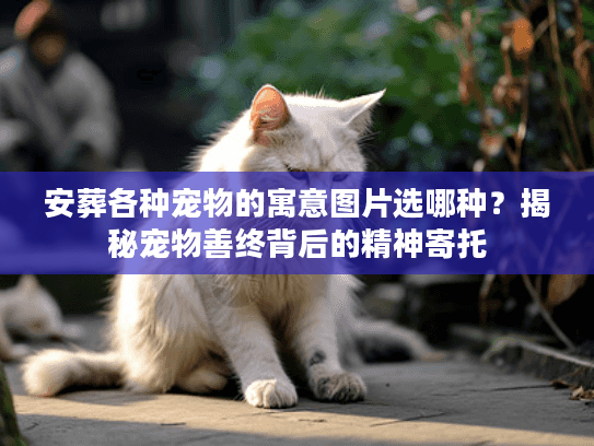 安葬各种宠物的寓意图片选哪种？揭秘宠物善终背后的精神寄托