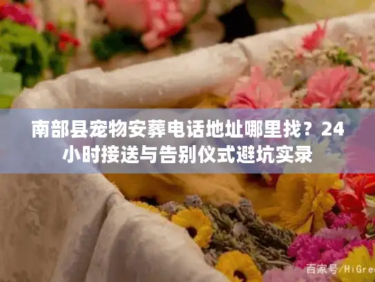 南部县宠物安葬电话地址哪里找？24小时接送与告别仪式避坑实录