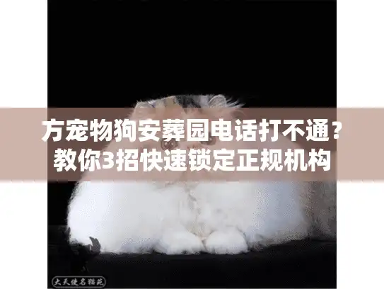 方宠物狗安葬园电话打不通？教你3招快速锁定正规机构
