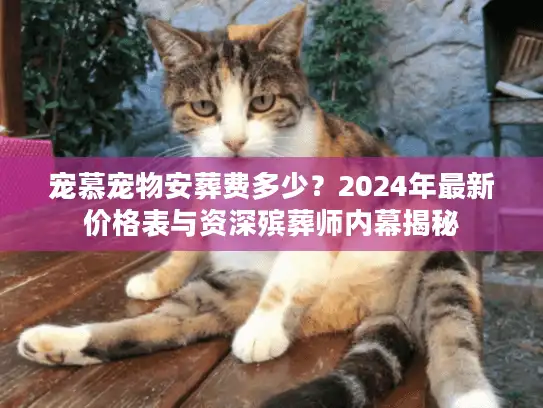 宠慕宠物安葬费多少？2024年最新价格表与资深殡葬师内幕揭秘