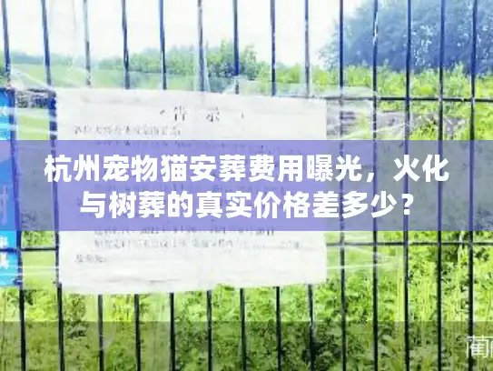 杭州宠物猫安葬费用曝光,火化与树葬的真实价格差多少? 杭州宠物猫安葬费用曝光,火化与树葬的真实价格差多少?