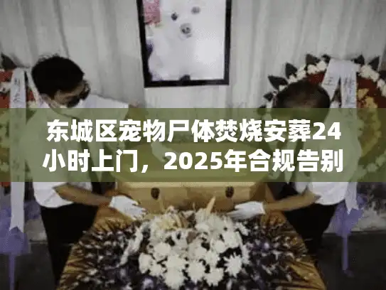 东城区宠物尸体焚烧安葬24小时上门，2025年合规告别避坑实录