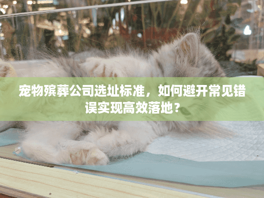 宠物殡葬公司选址标准，如何避开常见错误实现高效落地？