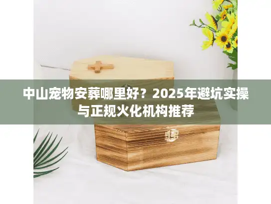中山宠物安葬哪里好？2025年避坑实操与正规火化机构推荐