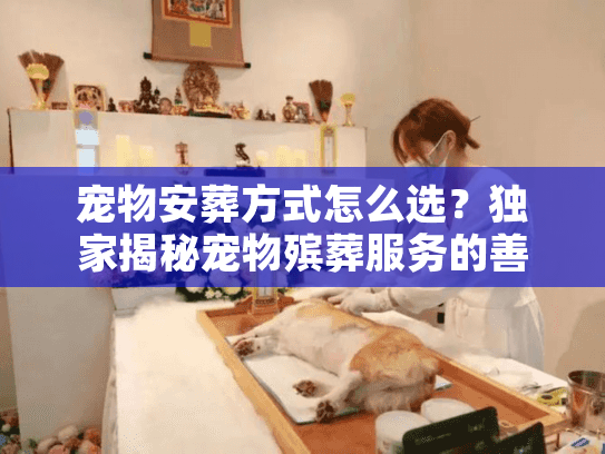 宠物安葬方式怎么选？独家揭秘宠物殡葬服务的善终门道
