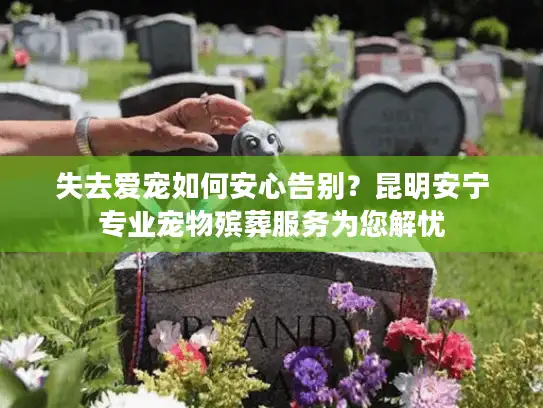 失去爱宠如何安心告别？昆明安宁专业宠物殡葬服务为您解忧