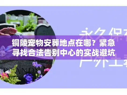 铜陵宠物安葬地点在哪？紧急寻找合法告别中心的实战避坑
