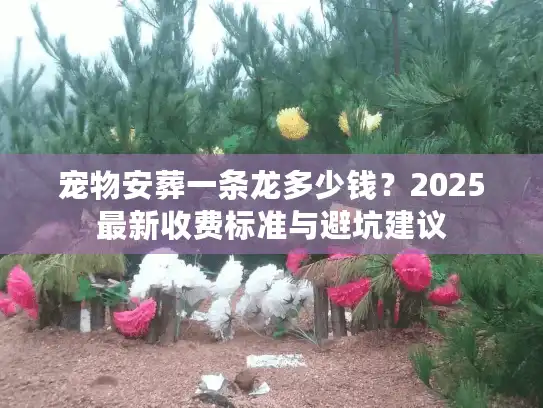宠物安葬一条龙多少钱?2025最新收费标准与避坑建议 宠物安葬一条龙多少钱?2025最新收费标准与避坑建议