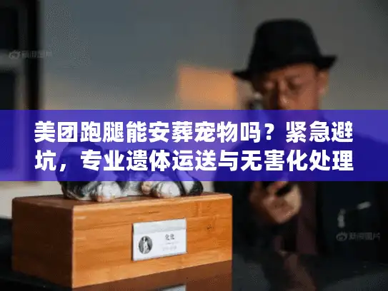 美团跑腿能安葬宠物吗?紧急避坑,专业遗体运送与无害化处理内幕 美团跑腿能安葬宠物吗?紧急避坑,专业遗体运送与无害化处理内幕