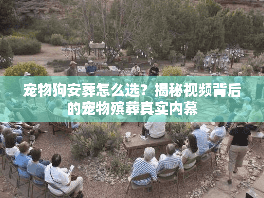 宠物狗安葬怎么选？揭秘视频背后的宠物殡葬真实内幕
