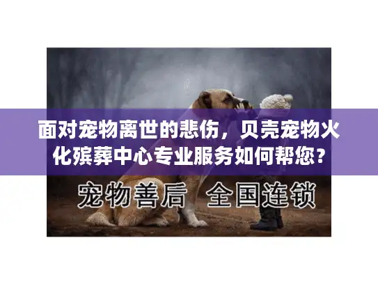 面对宠物离世的悲伤,贝壳宠物火化殡葬中心专业服务如何帮您? 面对宠物离世的悲伤,贝壳宠物火化殡葬中心专业服务如何帮您?