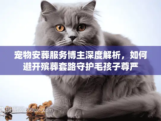 宠物安葬服务博主深度解析，如何避开殡葬套路守护毛孩子尊严