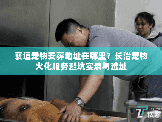 襄垣宠物安葬地址在哪里？长治宠物火化服务避坑实录与选址