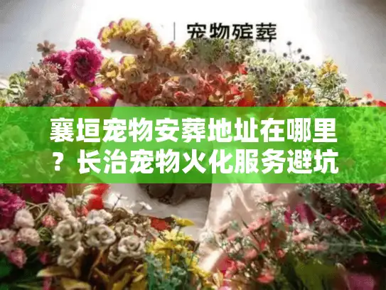 襄垣宠物安葬地址在哪里？长治宠物火化服务避坑实录与选址