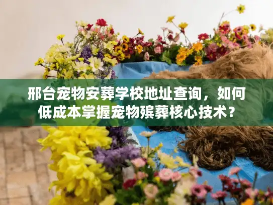 邢台宠物安葬学校地址查询，如何低成本掌握宠物殡葬核心技术？