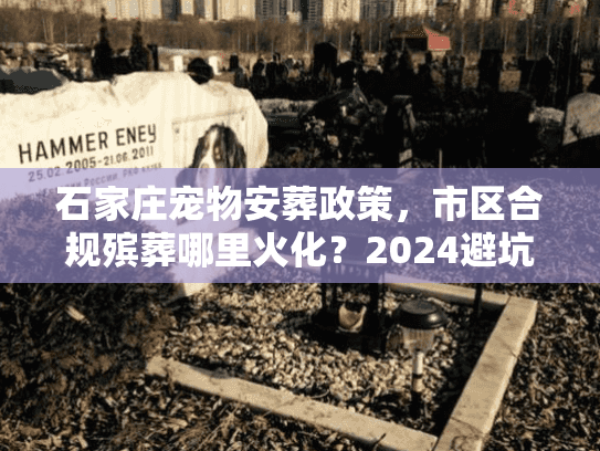 石家庄宠物安葬政策，市区合规殡葬哪里火化？2024避坑
