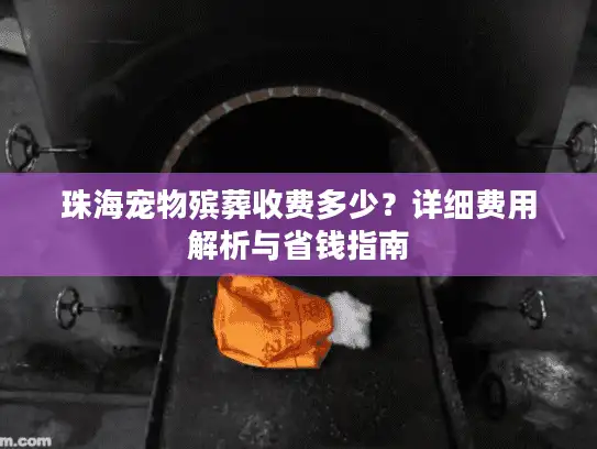 珠海宠物殡葬收费多少?详细费用解析与省钱指南 珠海宠物殡葬收费多少?详细费用解析与省钱指南