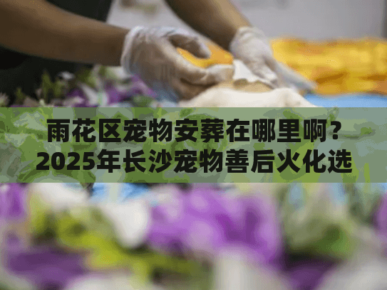 雨花区宠物安葬在哪里啊?2025年长沙宠物善后火化选址内幕 雨花区宠物安葬在哪里啊?2025年长沙宠物善后火化选址内幕