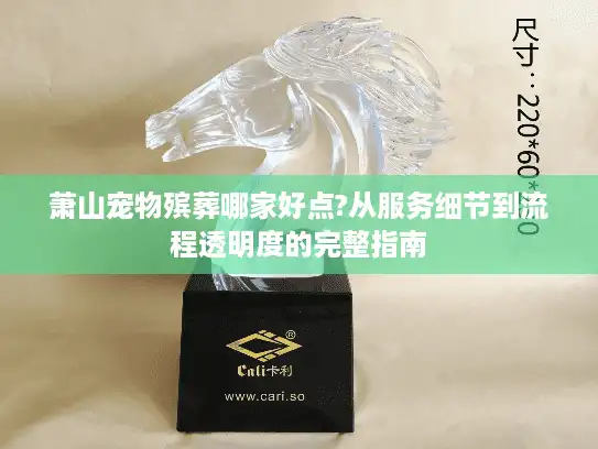 萧山宠物殡葬哪家好点?从服务细节到流程透明度的完整指南