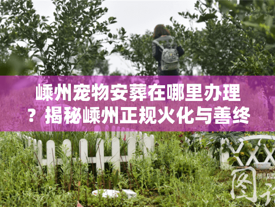 嵊州宠物安葬在哪里办理?揭秘嵊州正规火化与善终服务 嵊州宠物安葬在哪里办理?揭秘嵊州正规火化与善终服务