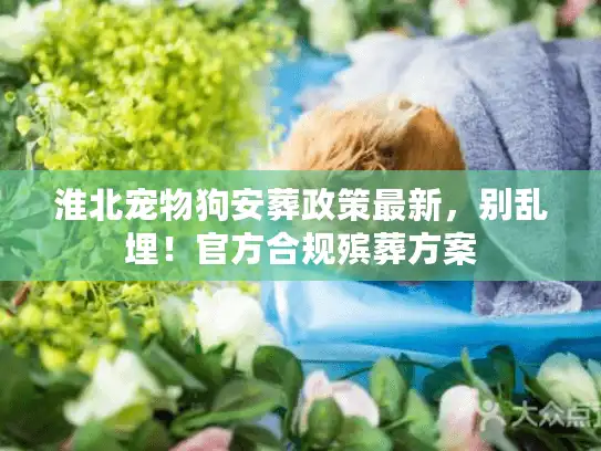 淮北宠物狗安葬政策最新，别乱埋！官方合规殡葬方案