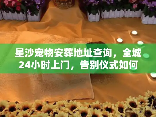 星沙宠物安葬地址查询，全城24小时上门，告别仪式如何安排？