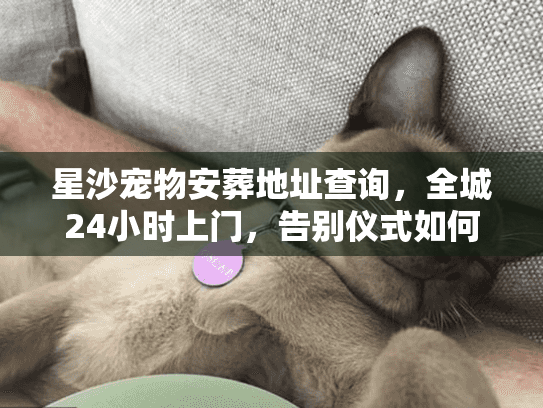 星沙宠物安葬地址查询，全城24小时上门，告别仪式如何安排？