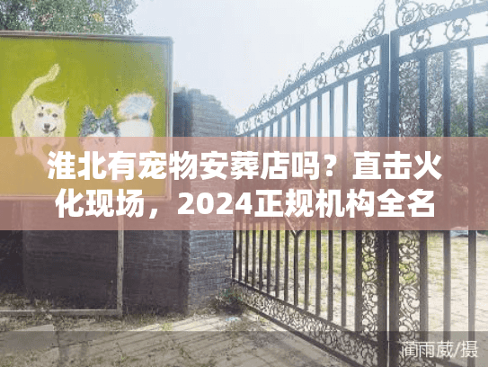 淮北有宠物安葬店吗?直击火化现场,2024正规机构全名单 淮北有宠物安葬店吗?直击火化现场,2024正规机构全名单