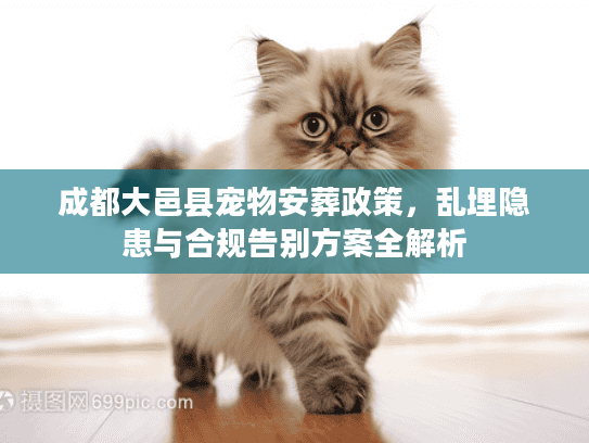 成都大邑县宠物安葬政策,乱埋隐患与合规告别方案全解析 成都大邑县宠物安葬政策,乱埋隐患与合规告别方案全解析
