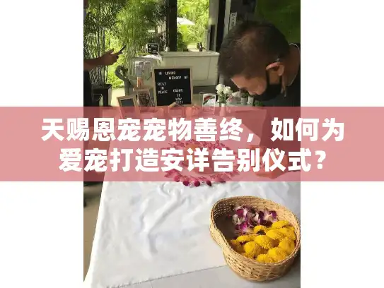 天赐恩宠宠物善终，如何为爱宠打造安详告别仪式？