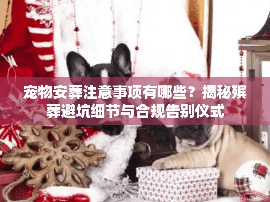 宠物安葬注意事项有哪些?揭秘殡葬避坑细节与合规告别仪式 宠物安葬注意事项有哪些?揭秘殡葬避坑细节与合规告别仪式