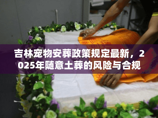 吉林宠物安葬政策规定最新，2025年随意土葬的风险与合规处置渠道