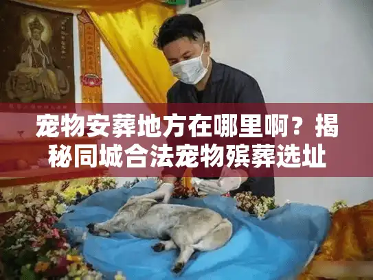 宠物安葬地方在哪里啊?揭秘同城合法宠物殡葬选址捷径 宠物安葬地方在哪里啊?揭秘同城合法宠物殡葬选址捷径