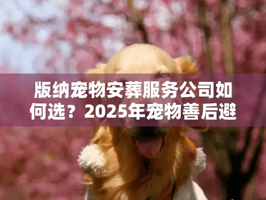 版纳宠物安葬服务公司如何选？2025年宠物善后避坑实录