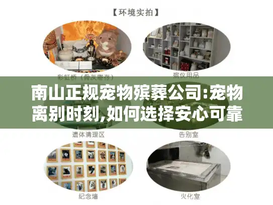 南山正规宠物殡葬公司:宠物离别时刻,如何选择安心可靠的正规服务? 南山正规宠物殡葬公司:宠物离别时刻,如何选择安心可靠的正规服务?
